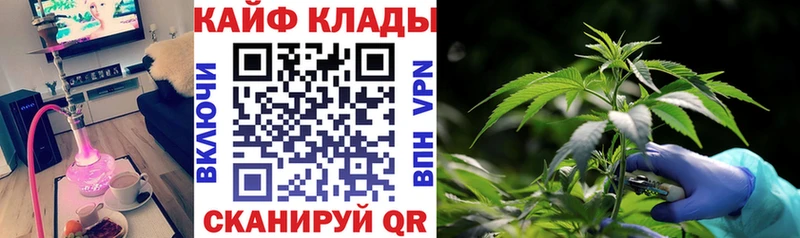 Где купить наркоту Данилов КОКАИН  Меф мяу мяу  Alpha-PVP  kraken зеркало  Гашиш  Конопля 