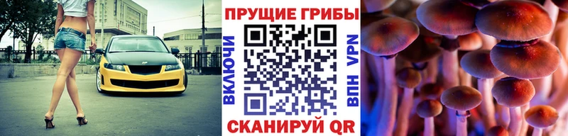Псилоцибиновые грибы ЛСД  продажа наркотиков  Данилов 